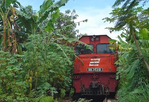 Kereta Membelah Kebun