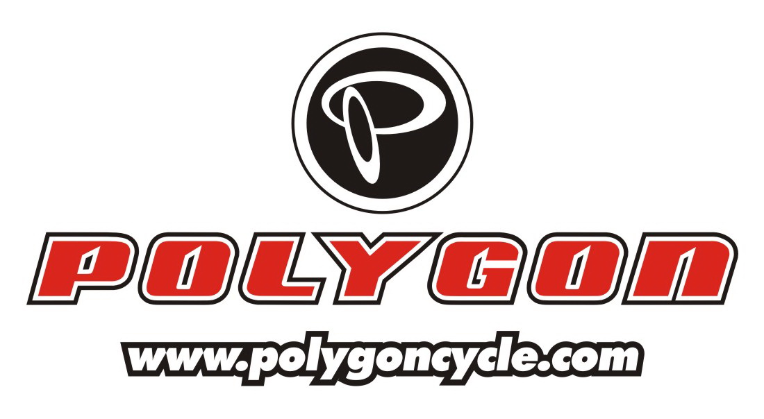 Polygon