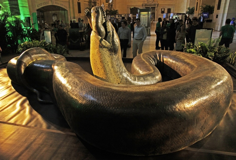 Ular Titanoboa