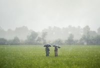 27 Manfaat Air Hujan yang Baik Bagi Kehidupan Alam Raya