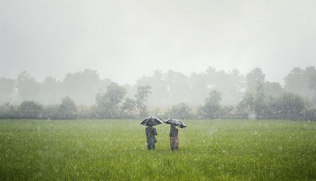 27 Manfaat Air Hujan yang Baik Bagi Kehidupan Alam Raya