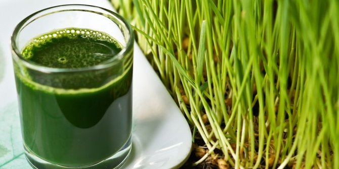 Jus Wheatgrass 