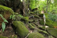 Bukit Tangkiling, Kalimantan Tengah, Wisata Alam dengan Berjuta Legenda