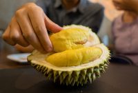 7 Cara Asyik Makan Durian