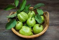 8 Manfaat ini Bisa Kamu Dapatkan dari Daun Jambu Biji