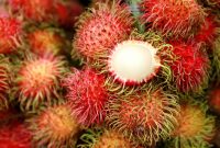 Musim Rambutan : Ternyata Super Manfaatnya!