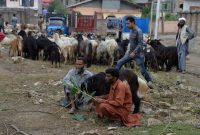 Cerita Warga Kashmir, Rayakan Idul Adha dalam Keprihatinan