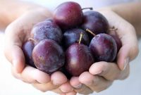 Manfaat Buah Plum untuk Kesehatan dan Kecantikan