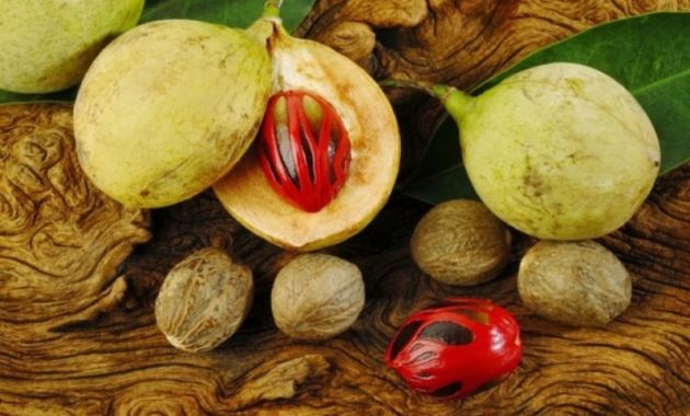 Waspada, 8 Buah-buahan ini Mengandung Racun Berbahaya