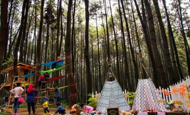 Rekomendasi Tempat Liburan Seru di Kota Bogor