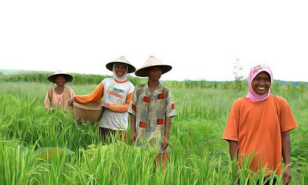 17 Contoh Usaha di Kampung yang Berpeluang untuk Berkembang