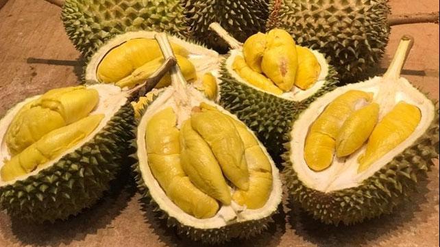 Hindari Makan Durian Bersamaan dengan 6 Makanan dan Minuman Ini!