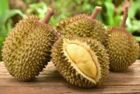 Hindari Makan Durian Bersamaan dengan 6 Makanan dan Minuman Ini!