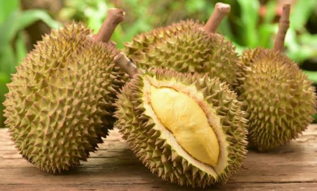 Hindari Makan Durian Bersamaan dengan 6 Makanan dan Minuman Ini!