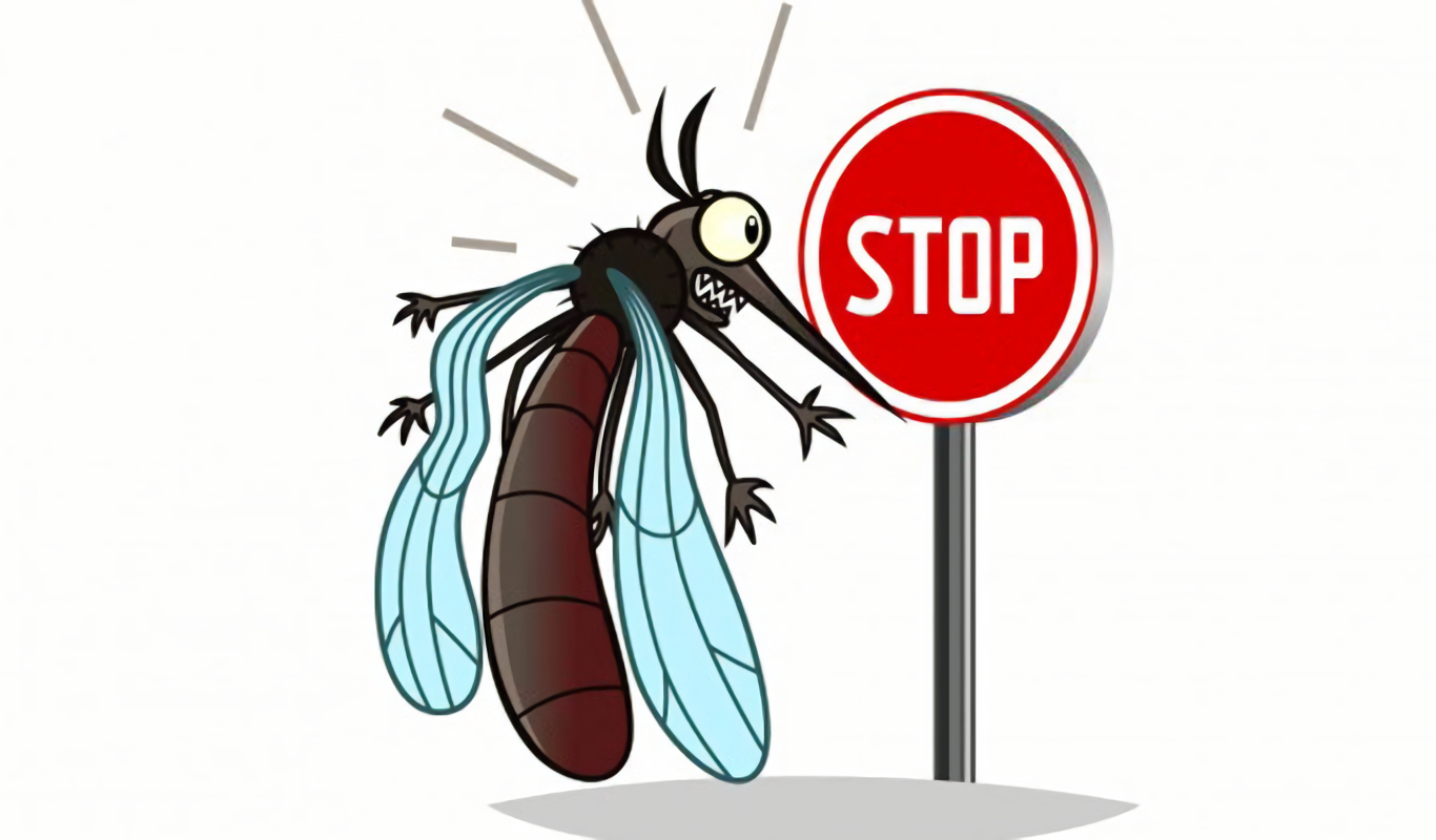 Waspada Demam Berdarah, Ini 10 Cara Ampuh Mengusir Nyamuk!
