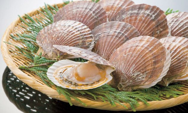 6 Jenis Seafood yang Baik untuk Tumbuh Kembang Anak