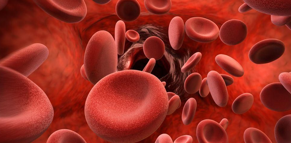 Kadar Hemoglobin Rendah? Ini 8 Cara Alami untuk Meningkatkannya!