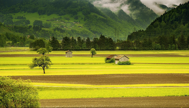 Kumpulan Backgorund Keren untuk Edit Foto 