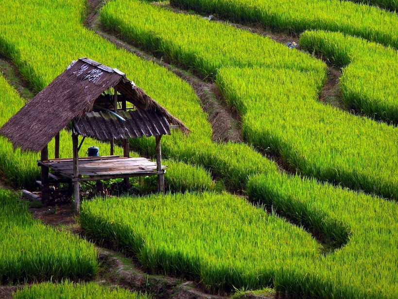 Kumpulan Backgorund Keren untuk Edit Foto 