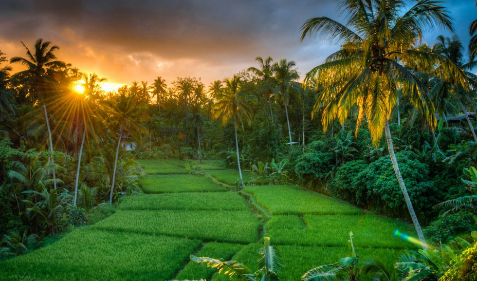 Kumpulan Backgorund Keren untuk Edit Foto 