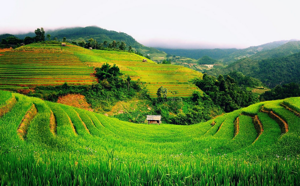 Kumpulan Backgorund Keren untuk Edit Foto 