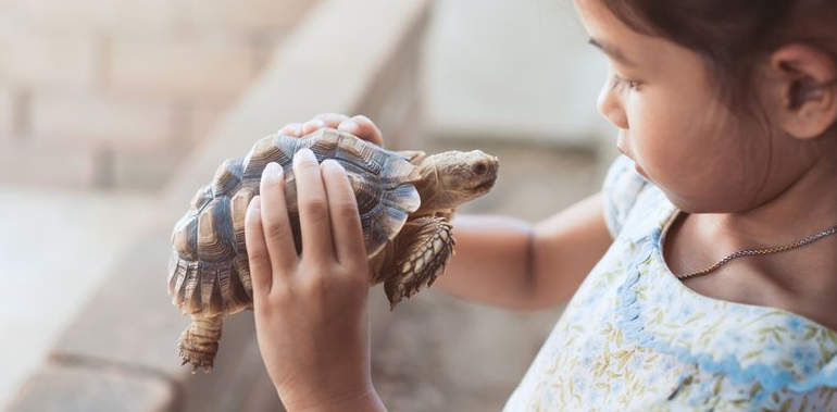 8 Manfaat Memiliki Hewan Peliharaan di Rumah untuk Kesehatan Mental Anak