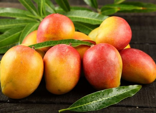 10 Jenis Buah Mangga Paling Enak yang Ada di Indonesa