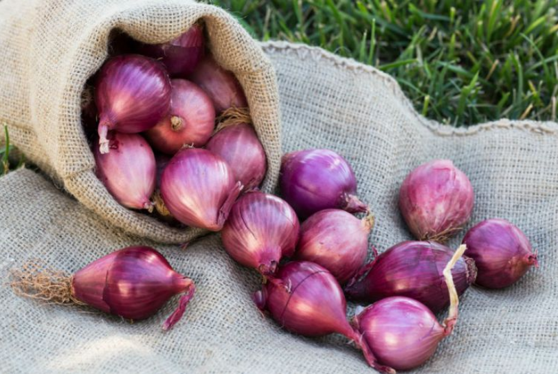 Agar Tidak Mudah Busuk, Ini 10 Cara Menyimpan Bawang Merah di Rumah