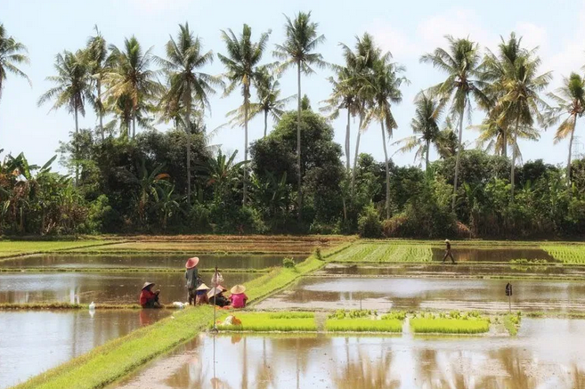 Kumpulan 25 Gambar Pemandangan yang Akan Memanjakan Matamu