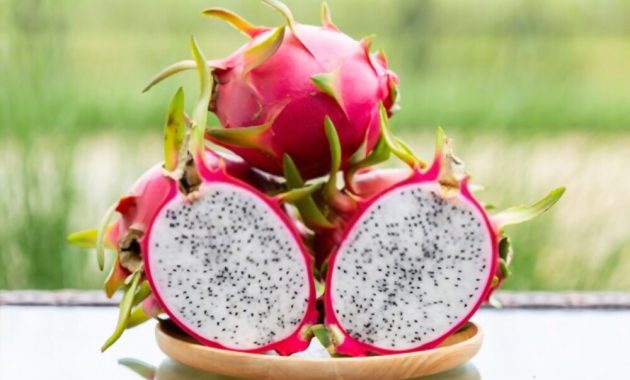 7 Resep Olahan Buah Naga yang Enak dan Sehat