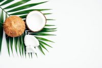 Rekomendasi Body Care dengan Aroma Coconut