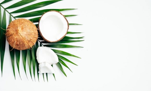 Rekomendasi Body Care dengan Aroma Coconut