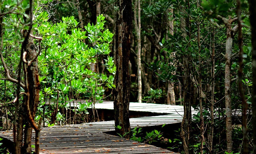 15 Tempat Wisata Karimun Jawa yang Paling Populer