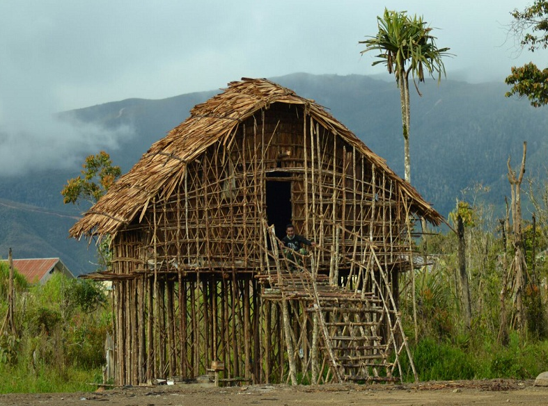 7 Jenis Rumah Adat Papua Beserta Filosofinya