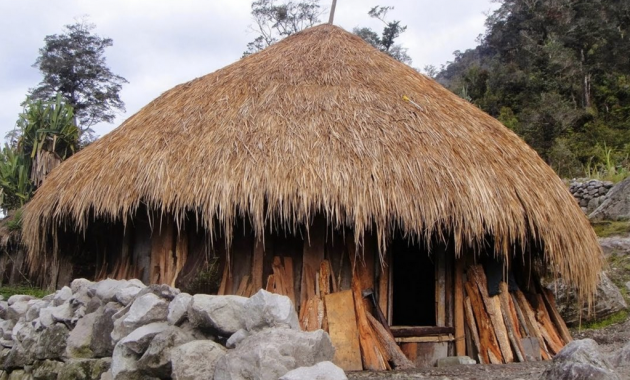 7 Jenis Rumah Adat Papua Beserta Filosofinya