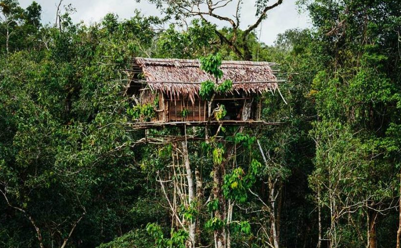 7 Jenis Rumah Adat Papua Beserta Filosofinya