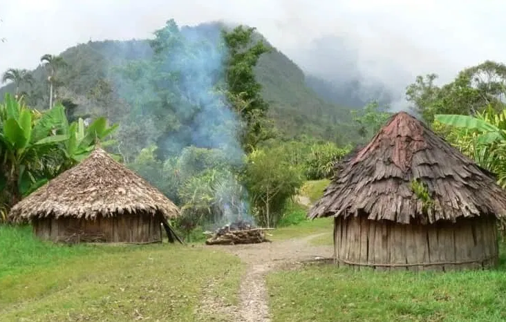 7 Jenis Rumah Adat Papua Beserta Filosofinya