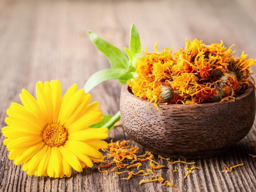 11 Manfaat Bunga Calendula untuk Kesehatan Kulit