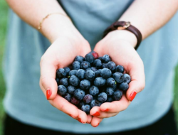 Wanita Harus Tahu! Ini 6 Manfaat Blueberry untuk Kecantikan