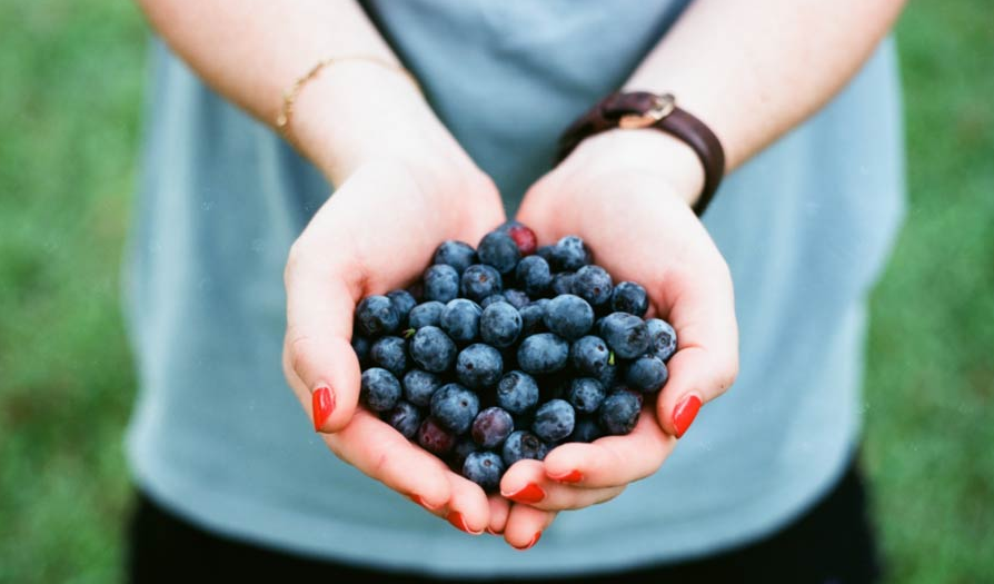 Wanita Harus Tahu! Ini 6 Manfaat Blueberry untuk Kecantikan