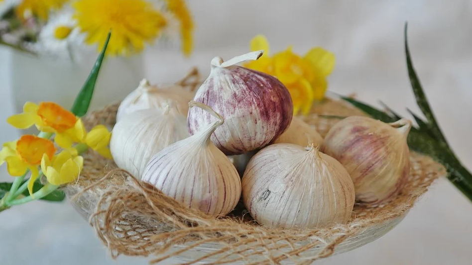 10 Manfaat Bawang Putih Tunggal dan Cara Mengonsumsinya