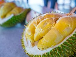 Asal-usul Durian Bawor, Buah Lokal Pesaing Montong Apa Keunggulannya?