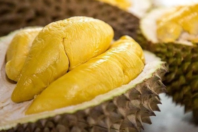 keunggulan durian bawor