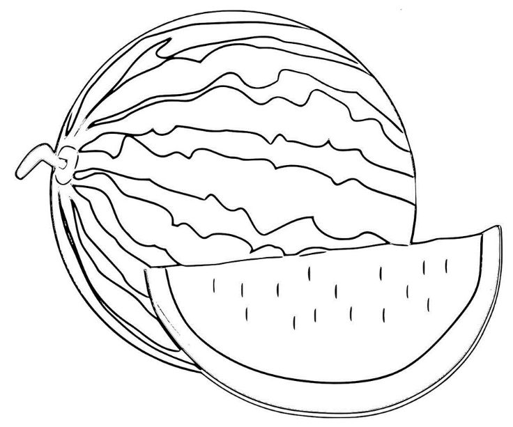 21 Contoh Gambar Buah dalam Bentuk Sketsa