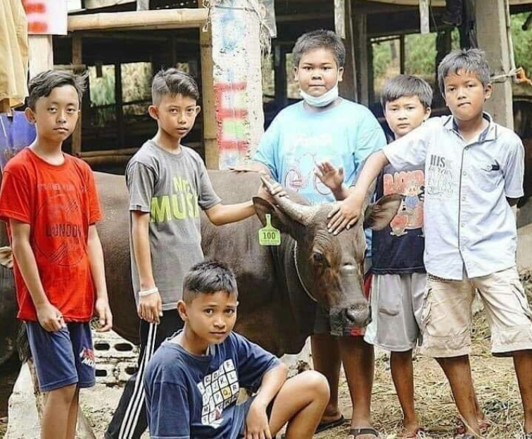 Kisah Inspiratif, 7 Bocah Menabung untuk Membeli Hewan Kurban