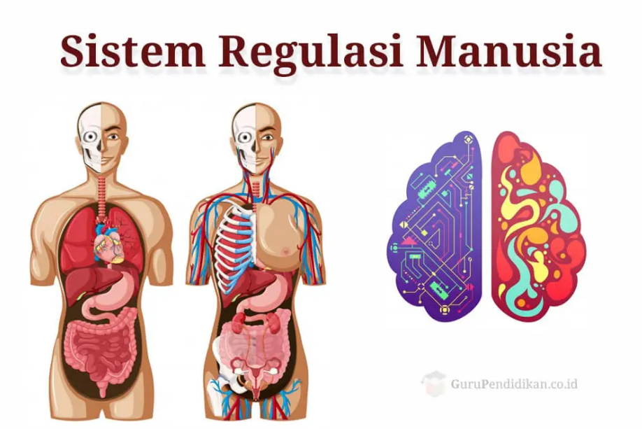 12 Ciri-ciri Makhluk Hidup Lengkap dengan Contoh dan Gambar