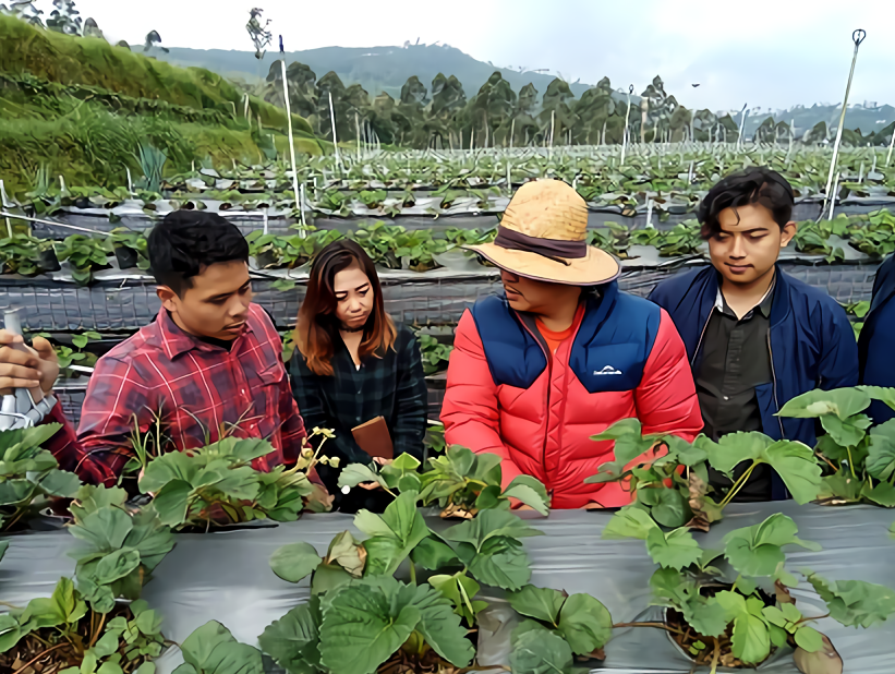 10 Rekomendasi Tempat Wisata Kebun Strawberry Bandung 