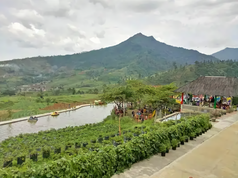 10 Rekomendasi Tempat Wisata Kebun Strawberry Bandung 