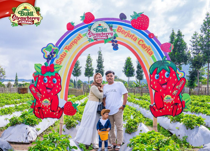 10 Rekomendasi Tempat Wisata Kebun Strawberry Bandung 