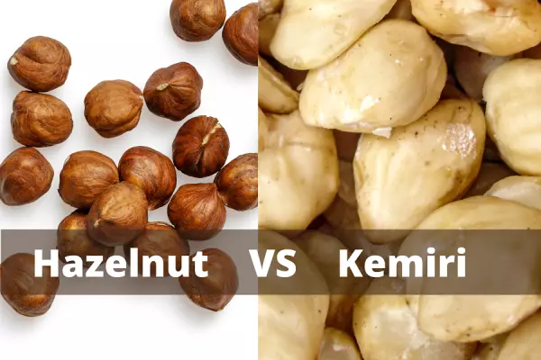 Viral di TikTok, Apakah Hazelnut adalah Kemiri?